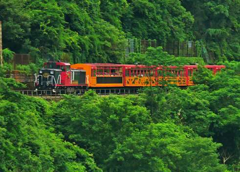 春の保津峡を満喫!保津川下り16㎞の旅と嵯峨野トロッコ列車【田原本・大和八木・橿原神宮・五位堂発】2